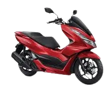 Stylo CBS Plus